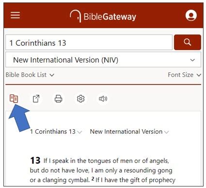 spanish bible gateway|More.